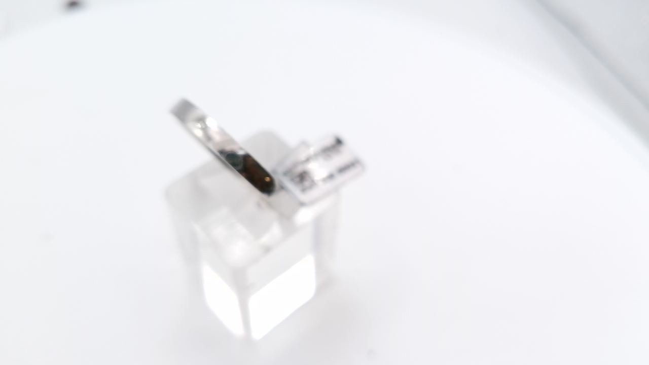 bague Fred platine — vue 3