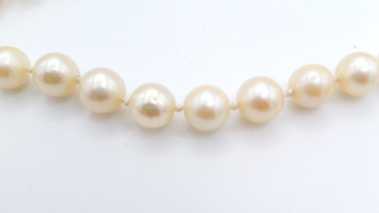collier de perle blanche parfaite etat — vue 5
