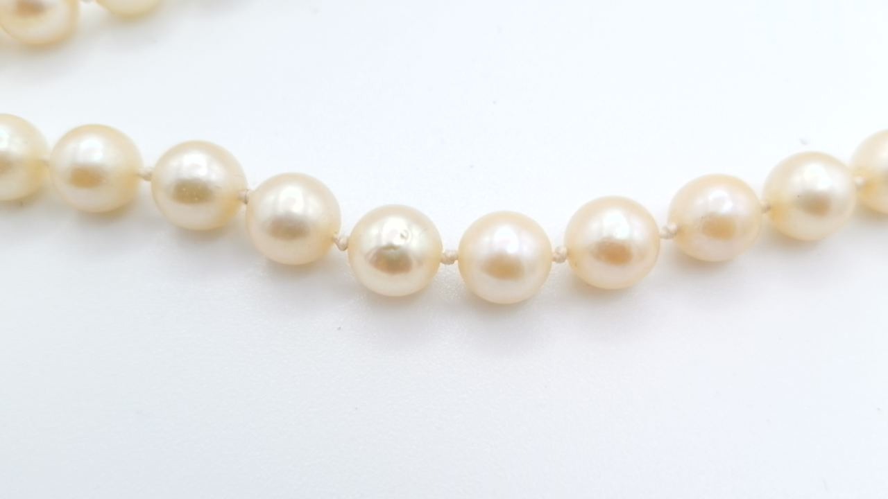 collier de perle blanche parfaite etat — vue 6
